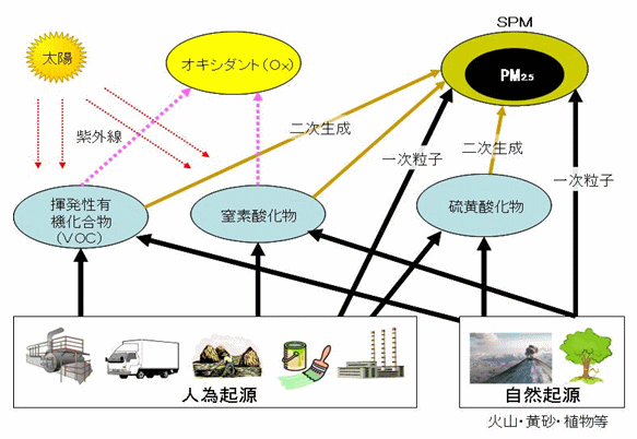 PM2.5μȯ絤εư(ǰ)